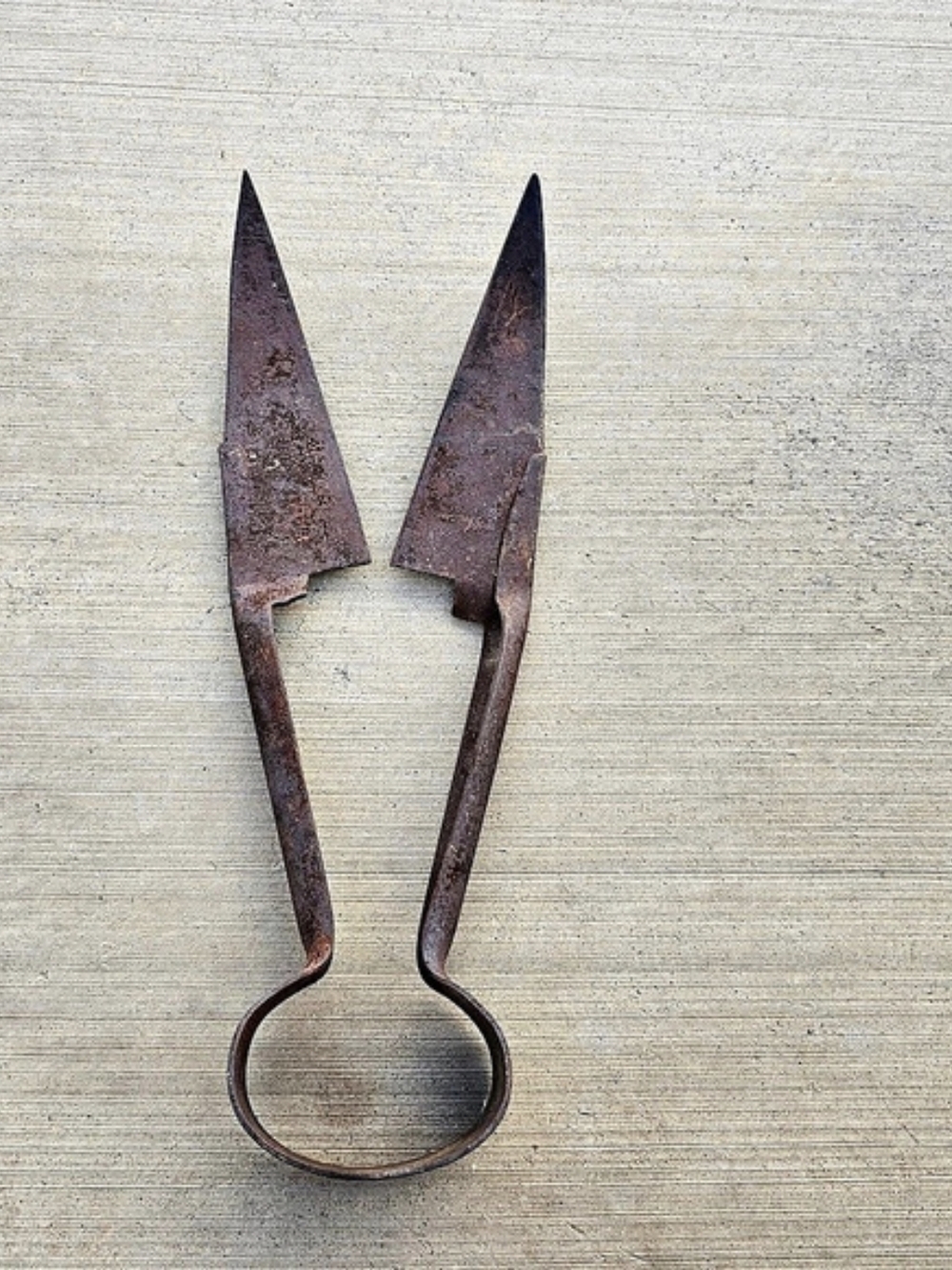 Antique Rusty Sheep Shears Primitive Farmhouse Home Decor Country Barn